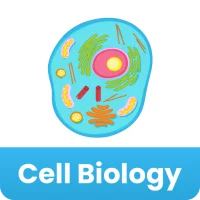 Lear Cell Biology